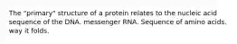 The "primary" structure of a protein relates to the nucleic acid sequence of the DNA. messenger RNA. Sequence of amino acids. way it folds.