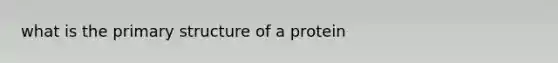 what is the primary structure of a protein