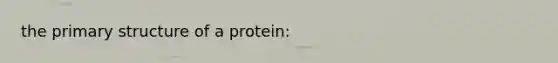 the primary structure of a protein: