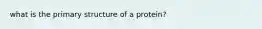 what is the primary structure of a protein?