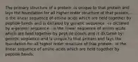 The primary structure of a protein -is unique to that protein and lays the foundation for all higher order structure of that protein. -is the linear sequence of amino acids which are held together by peptide bonds and is dictated by genetic sequence. -is dictated by a genetic sequence. -is the linear sequence of amino acids which are held together by peptide bonds and is dictated by genetic sequence and is unique to that protein and lays the foundation for all higher order structure of that protein. -is the linear sequence of amino acids which are held together by peptide bonds.