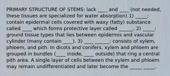 PRIMARY STRUCTURE OF STEMS: lack ____ and ____ (not needed, these tissues are specialized for water absorption) 1) _____: contain epidermal cells covered with waxy (fatty) substance called ____ which forms protective layer called ______. 2) _____: ground tissue types that lies between epidermis and vascular cylinder (many contain ____). 3) ____ ______: consists of xylem, phloem, and pith. In dicots and conifers, xylem and phloem are grouped in bundles (____ inside, ____ outside) that ring a central pith area. A single layer of cells between the xylem and phloem may remain undifferentiated and later become the _____ _____.