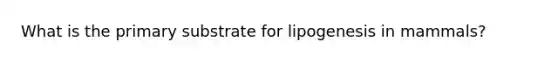 What is the primary substrate for lipogenesis in mammals?