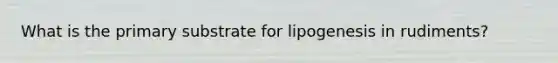 What is the primary substrate for lipogenesis in rudiments?