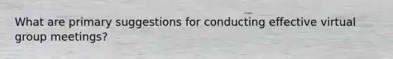 What are primary suggestions for conducting effective virtual group meetings?