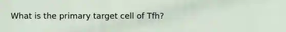 What is the primary target cell of Tfh?