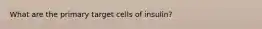 What are the primary target cells of insulin?