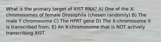 What is the primary target of XIST RNA? A) One of the X-chromosomes of female Drosophila (chosen randomly) B) The male Y chromosome C) The HPRT gene D) The X-chromosome it is transcribed from. E) An X-chromosome that is NOT actively transcribing XIST.