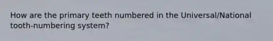 How are the primary teeth numbered in the Universal/National tooth-numbering system?