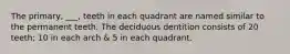 The primary, ___, teeth in each quadrant are named similar to the permanent teeth. The deciduous dentition consists of 20 teeth; 10 in each arch & 5 in each quadrant.