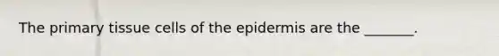 The primary tissue cells of the epidermis are the _______.