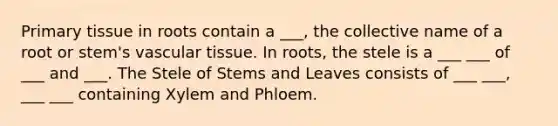 Primary tissue in roots contain a ___, the collective name of a root or stem's vascular tissue. In roots, the stele is a ___ ___ of ___ and ___. The Stele of Stems and Leaves consists of ___ ___, ___ ___ containing Xylem and Phloem.