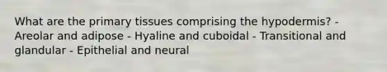 What are the primary tissues comprising the hypodermis? - Areolar and adipose - Hyaline and cuboidal - Transitional and glandular - Epithelial and neural