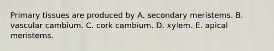 Primary tissues are produced by A. secondary meristems. B. vascular cambium. C. cork cambium. D. xylem. E. apical meristems.