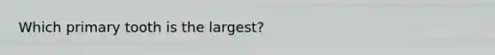 Which primary tooth is the largest?