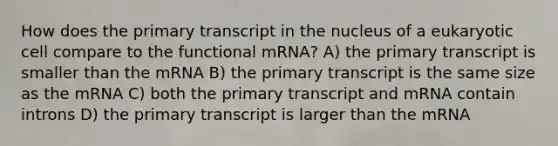 How does the primary transcript in the nucleus of a eukaryotic cell compare to the functional mRNA? A) the primary transcript is smaller than the mRNA B) the primary transcript is the same size as the mRNA C) both the primary transcript and mRNA contain introns D) the primary transcript is larger than the mRNA