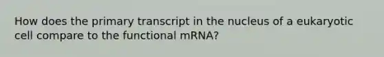 How does the primary transcript in the nucleus of a eukaryotic cell compare to the functional mRNA?