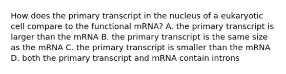 How does the primary transcript in the nucleus of a eukaryotic cell compare to the functional mRNA? A. the primary transcript is larger than the mRNA B. the primary transcript is the same size as the mRNA C. the primary transcript is smaller than the mRNA D. both the primary transcript and mRNA contain introns