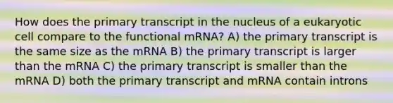 How does the primary transcript in the nucleus of a eukaryotic cell compare to the functional mRNA? A) the primary transcript is the same size as the mRNA B) the primary transcript is larger than the mRNA C) the primary transcript is smaller than the mRNA D) both the primary transcript and mRNA contain introns