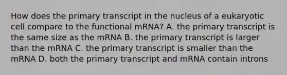 How does the primary transcript in the nucleus of a eukaryotic cell compare to the functional mRNA? A. the primary transcript is the same size as the mRNA B. the primary transcript is larger than the mRNA C. the primary transcript is smaller than the mRNA D. both the primary transcript and mRNA contain introns