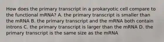 How does the primary transcript in a prokaryotic cell compare to the functional mRNA? A. the primary transcript is smaller than the mRNA B. the primary transcript and the mRNA both contain introns C. the primary transcript is larger than the mRNA D. the primary transcript is the same size as the mRNA