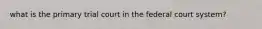 what is the primary trial court in the federal court system?
