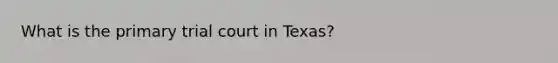 What is the primary trial court in Texas?