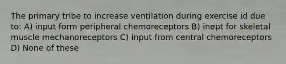 The primary tribe to increase ventilation during exercise id due to: A) input form peripheral chemoreceptors B) inept for skeletal muscle mechanoreceptors C) input from central chemoreceptors D) None of these