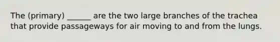 The (primary) ______ are the two large branches of the trachea that provide passageways for air moving to and from the lungs.