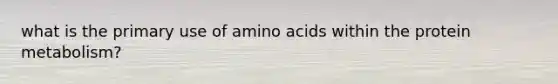 what is the primary use of amino acids within the protein metabolism?