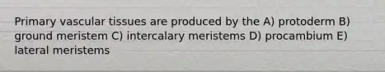 Primary vascular tissues are produced by the A) protoderm B) ground meristem C) intercalary meristems D) procambium E) lateral meristems