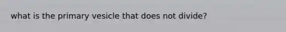 what is the primary vesicle that does not divide?