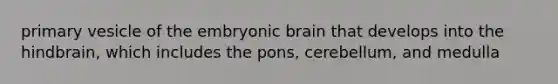 primary vesicle of the embryonic brain that develops into the hindbrain, which includes the pons, cerebellum, and medulla