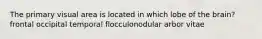 The primary visual area is located in which lobe of the brain? frontal occipital temporal flocculonodular arbor vitae
