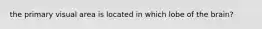 the primary visual area is located in which lobe of the brain?