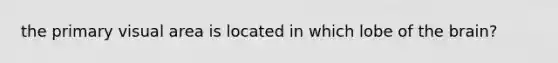 the primary visual area is located in which lobe of the brain?