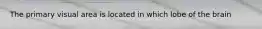 The primary visual area is located in which lobe of the brain