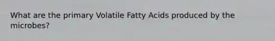 What are the primary Volatile Fatty Acids produced by the microbes?