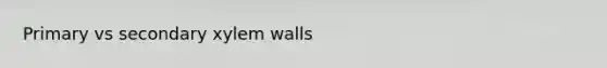 Primary vs secondary xylem walls