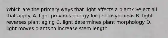 Which are the primary ways that light affects a plant? Select all that apply. A. light provides energy for photosynthesis B. light reverses plant aging C. light determines plant morphology D. light moves plants to increase stem length