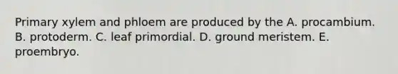 Primary xylem and phloem are produced by the A. procambium. B. protoderm. C. leaf primordial. D. ground meristem. E. proembryo.