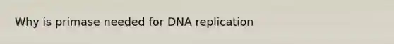 Why is primase needed for DNA replication