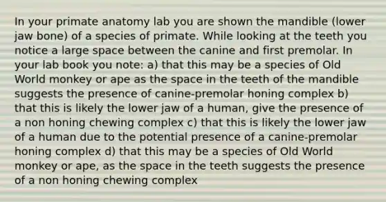 In your primate anatomy lab you are shown the mandible (lower jaw bone) of a species of primate. While looking at the teeth you notice a large space between the canine and first premolar. In your lab book you note: a) that this may be a species of Old World monkey or ape as the space in the teeth of the mandible suggests the presence of canine-premolar honing complex b) that this is likely the lower jaw of a human, give the presence of a non honing chewing complex c) that this is likely the lower jaw of a human due to the potential presence of a canine-premolar honing complex d) that this may be a species of Old World monkey or ape, as the space in the teeth suggests the presence of a non honing chewing complex