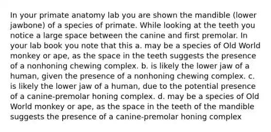 In your primate anatomy lab you are shown the mandible (lower jawbone) of a species of primate. While looking at the teeth you notice a large space between the canine and first premolar. In your lab book you note that this a. may be a species of Old World monkey or ape, as the space in the teeth suggests the presence of a nonhoning chewing complex. b. is likely the lower jaw of a human, given the presence of a nonhoning chewing complex. c. is likely the lower jaw of a human, due to the potential presence of a canine-premolar honing complex. d. may be a species of Old World monkey or ape, as the space in the teeth of the mandible suggests the presence of a canine-premolar honing complex