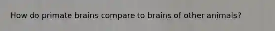 How do primate brains compare to brains of other animals?