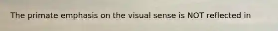 The primate emphasis on the visual sense is NOT reflected in