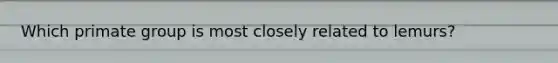 Which primate group is most closely related to lemurs?