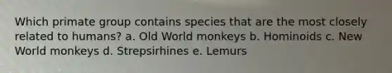 Which primate group contains species that are the most closely related to humans? a. Old World monkeys b. Hominoids c. New World monkeys d. Strepsirhines e. Lemurs