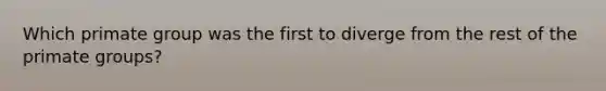 Which primate group was the first to diverge from the rest of the primate groups?