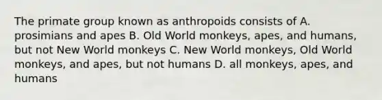 The primate group known as anthropoids consists of A. prosimians and apes B. Old World monkeys, apes, and humans, but not New World monkeys C. New World monkeys, Old World monkeys, and apes, but not humans D. all monkeys, apes, and humans